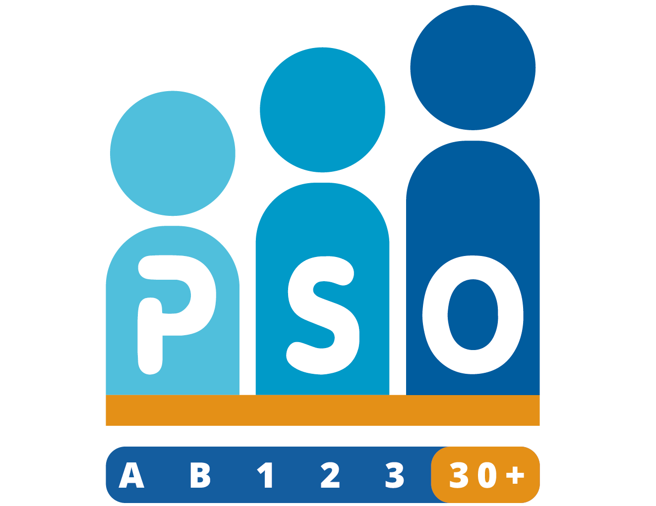 PSO Prestatieladder
