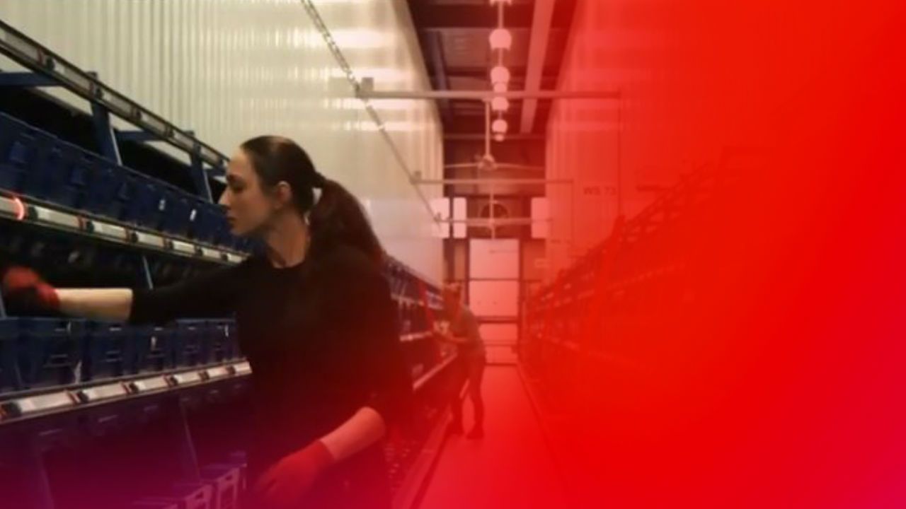 schedel Verbinding verbroken Twinkelen Magazijnmedewerker bij Hema | Randstad