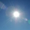 productieve zomer