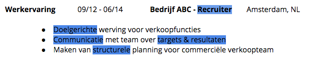 blog: steekwoorden in cv - voorbeeld in cv
