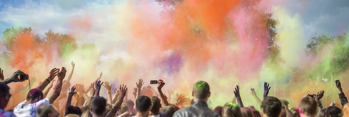 Festival blog