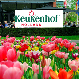 werken op Keukenhof nl.ibridge.cms.randstad.site.beans.LandingPageImageSet@a612ddc8
